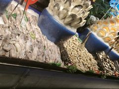 -千家粗粮王海鲜牛排自助餐(西宁海湖万达广场店)