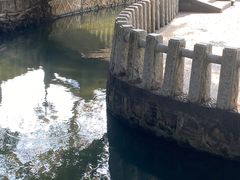 -荔枝公园(福田区)