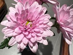 -四川饭店(长白店)