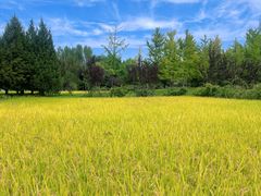 -北坞公园