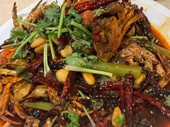 -杨氏青龙虾·羊蝎子(珠江路店)