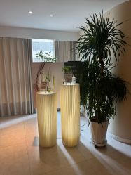 -东英经典SKIN&SPA