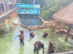 -深圳野生动物园