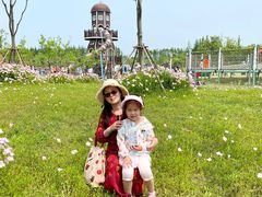 -上海长兴岛郊野公园