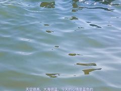 -仰口沙滩