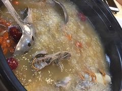 -一煲鸽