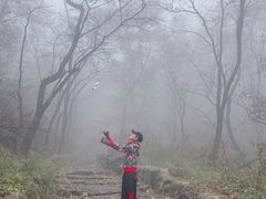 -阳台山自然风景区