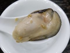 -蚝专家