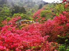 -木兰云雾山