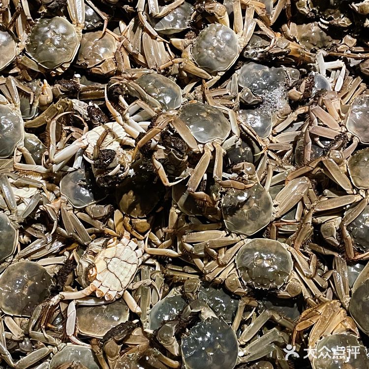 天津探店|海鲜随意吃🦀在这可把鲍鱼吃爽啦