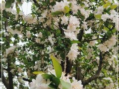 -元大都城垣遗址公园