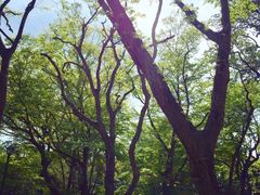 -三鹰之森吉卜力美术馆