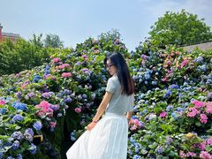 -The Rug Cafe(王府中环店)