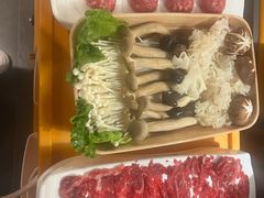 -潮发潮汕牛肉店(东方宝泰店)