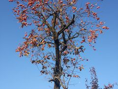 -西安汉城湖景区