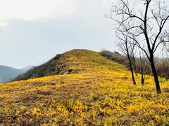 -北京鹫峰国家森林公园