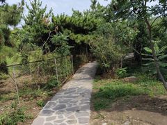 -蓬莱阁景区
