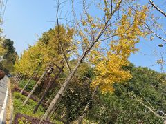 -黄陂区野村谷景区