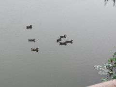 -上海怡沁园度假酒店