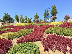 -沂蒙云瀑洞天景区