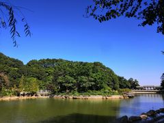 -广州市帽峰山景区