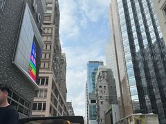 -Big Bus Tours 敞篷观光巴士