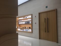 -Apple零售店(玄武湖店)
