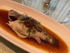 平锅鲈鱼-潞安酒店(宁国路店)