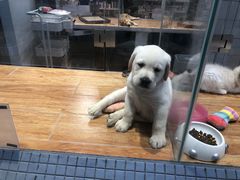 -火地铁板烧(昆山万象汇店)