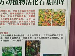 -北京上方山国家森林公园
