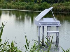 -杭州湾海上花田景区
