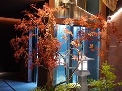 -椿杨樘·明康泡浴养生馆(重庆店)