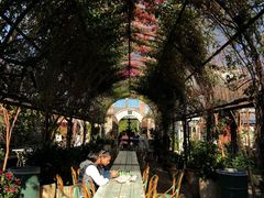 -The Grounds of Alexandria