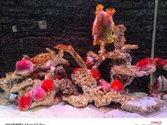 -秦皇岛新澳海底世界