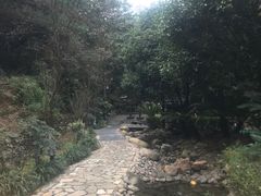 -明月山天沐温泉度假村