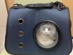 -瑞派康怡24h宠物医院·犬猫医疗中心·微创绝育(瑞景分院)