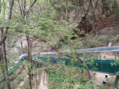 -王顺山国家森林公园
