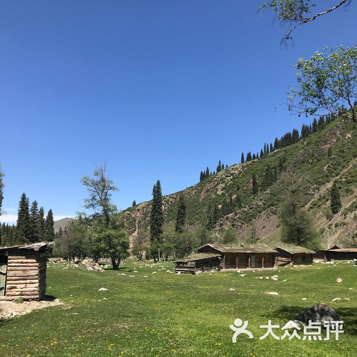 琼库什台紫花坡