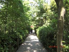 -上海佘山国家森林公园西佘山园