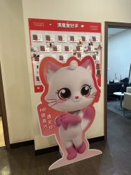 -上海玫瑰医疗美容医院