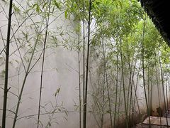 -苏州园林博物馆
