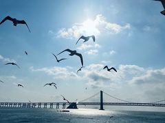 -银沙滩浴场