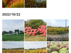 -花开海上生态园