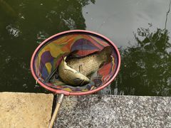 -酷鱼垂钓CLUB(朝阳区博大路店 )