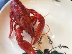 -老鄞江清水龙虾•赵赵家(江北店)