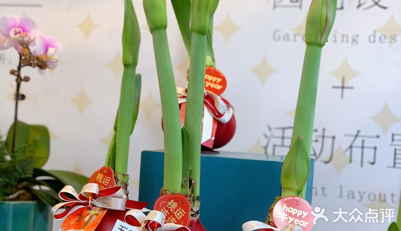 年意浓[红包][红包][红包]