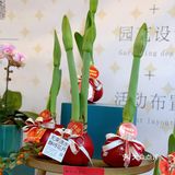年意浓[红包][红包][红包]