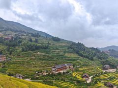 -紫鹊界梯田景区