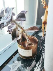 -美最美健康管理中心