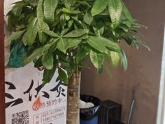 -裕和堂中医推拿艾灸(太古汇臻品店)